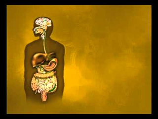 Illustration for article titled Best Virechana Therapy In India